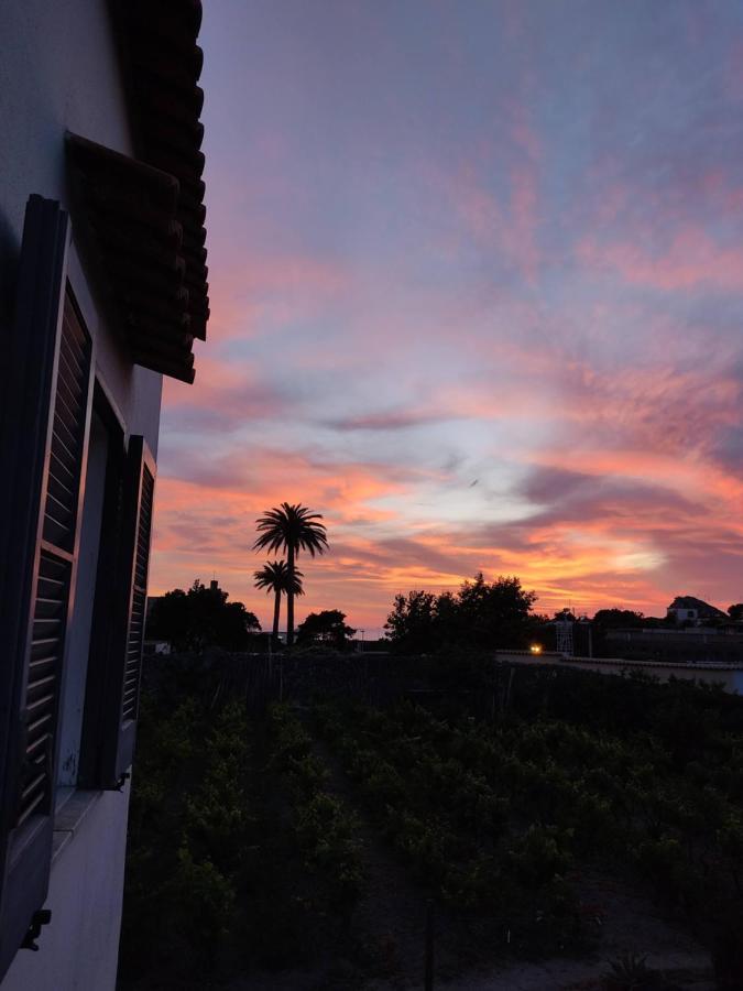 Casa Ischia Appartement Forio di Ischia Buitenkant foto
