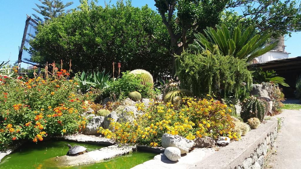 Casa Ischia Appartement Forio di Ischia Buitenkant foto